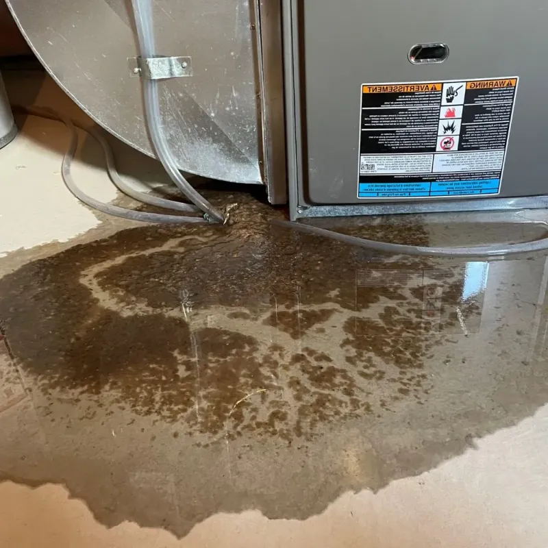 Pipe Burst and Leak Restoration in Brambleton, VA